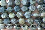 COIN56 15 inches 12mm faceted coin rhyolite gemstone beads