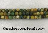 CAA1963 15.5 inches 10mm round banded agate gemstone beads