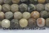 CAA3960 15.5 inches 4mm faceted round chrysanthemum agate beads