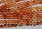 CAG1644 15.5 inches 4mm round red agate gemstone beads