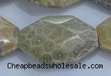 CAG9440 22*30mm - 25*35mm faceted freeform chrysanthemum agate beads