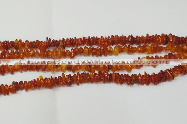 CAR115 16 inches 3*6mm - 4*8mm natural amber chips beads