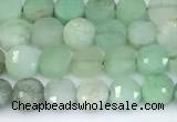 CCB1150 15 inches 4mm faceted coin Australia chrysoprase beads