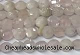 CCB1369 15 inches 4mm faceted coin morganite beads