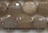 CCB725 15.5 inches 8mm faceted coin moonstone gemstone beads