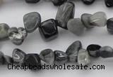 CCH633 15.5 inches 6*8mm - 10*14mm eagle eye jasper chips beads