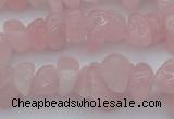 CCH654 15.5 inches 8*12mm - 10*14mm rose quartz chips beads