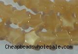CCT807 15 inches 6mm star cats eye beads wholesale