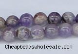 CDA52 15.5 inches 8mm round dogtooth amethyst beads wholesale
