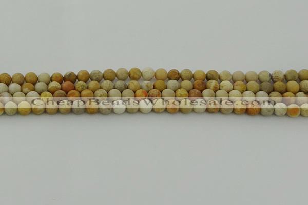 CFC221 15.5 inches 6mm round matte fossil coral beads wholesale