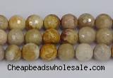 CFC228 15.5 inches 4mm faceted round fossil coral beads