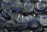 CKC02 16 inches 25mm flat round natural kyanite beads wholesale