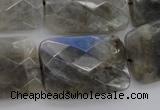 CLB97 15.5 inches 20*30mm faceted rectangle labradorite beads
