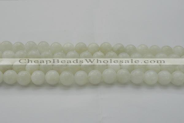 CMS1032 15.5 inches 8mm round A grade white moonstone beads