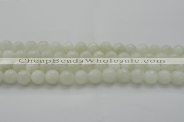 CMS1033 15.5 inches 10mm round A grade white moonstone beads