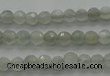 CMS1054 15.5 inches 4mm faceted round grey moonstone beads wholesale