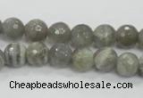 CMS124 15.5 inches 10mm faceted round moonstone gemstone beads