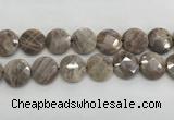 CMS1794 15.5 inches 20mm faceted coin AB-color moonstone beads