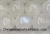 CMS1904 15.5 inches 12mm round white moonstone gemstone beads