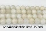 CMS2030 15.5 inches 12mm round white moonstone beads wholesale