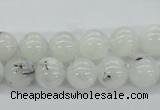 CMS204 15.5 inches 10mm round moonstone gemstone beads wholesale