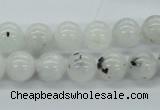 CMS205 15.5 inches 11mm round moonstone gemstone beads wholesale