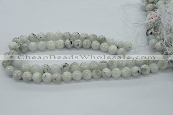 CMS206 15.5 inches 12mm round moonstone gemstone beads wholesale