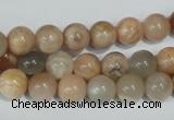CMS503 15.5 inches 8mm round moonstone beads wholesale