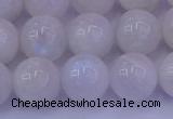 CMS644 15.5 inches 12mm round white moonstone beads wholesale