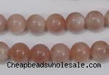 CMS754 15.5 inches 10mm round natural moonstone beads wholesale