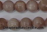 CMS757 15.5 inches 15mm round natural moonstone beads wholesale