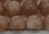 CMS935 15.5 inches 14mm round A grade moonstone gemstone beads