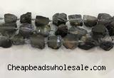 CNG3550 15*20mm - 20*25mm nuggets plated rough white crystal beads