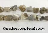 CNG3568 15.5 inches 18*20mm - 25*30mm nuggets rough agate beads
