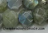 CNG5874 15.5 inches 8*12mm - 12*16mm faceted freeform labradorite beads