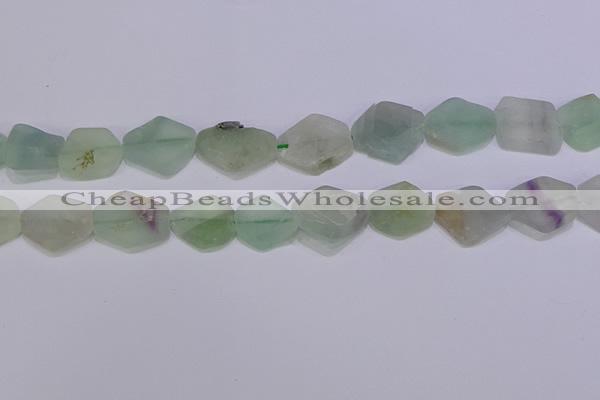 CNG6361 15.5 inches 14*18mm - 16*22mm freeform matte fluorite beads