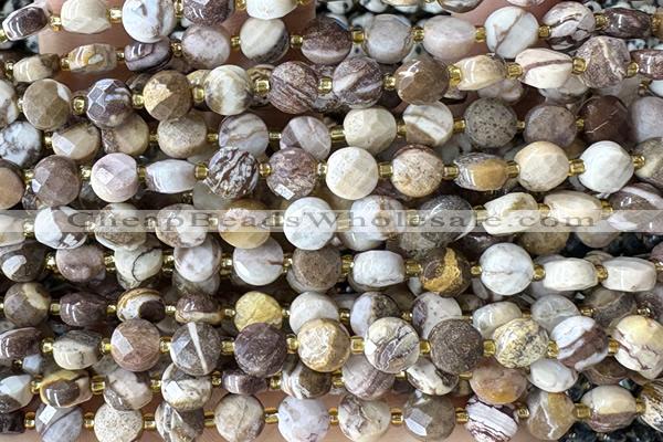 COIN150 15 inches 6mm faceted coin zebra jasper beads