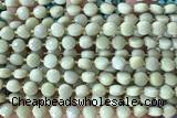 COIN157 15 inches 6mm faceted coin jasper gemstone beads