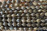 COIN208 15 inches 6mm faceted coin bronzite gemstone beads