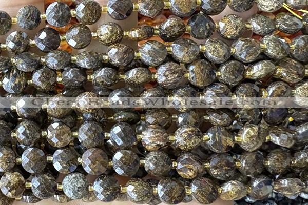 COIN208 15 inches 6mm faceted coin bronzite gemstone beads