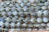 COIN232 15 inches 8mm faceted coin labradorite gemstone beads