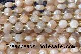 COIN238 15 inches 8mm faceted coin moonstone gemstone beads