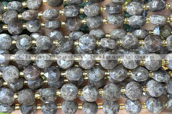COIN257 15 inches 8mm faceted coin jasper gemstone beads
