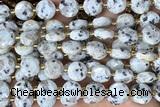 COIN276 15 inches 10mm faceted coin sesame jasper beads
