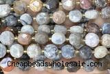 COIN277 15 inches 10mm faceted coin chrysanthemum agate beads