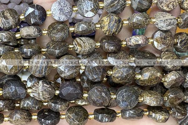 COIN309 15 inches 10mm faceted coin bronzite gemstone beads