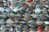 COIN314 15 inches 10mm faceted coin blood jasper beads