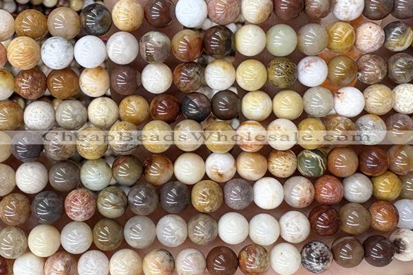 CORA01 15 inches 6mm round China fossil coral beads wholesale