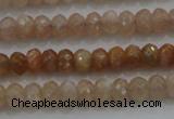 CRB224 15.5 inches 2.5*4mm faceted rondelle moonstone beads