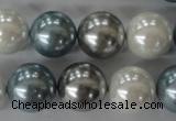 CSB1151 15.5 inches 16mm round mixed color shell pearl beads
